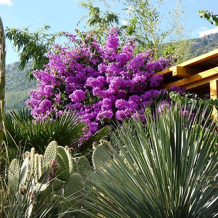 Villa Tropica, Total Privacy, Tropical Garden And Private Pool Kaštela Екстериор снимка