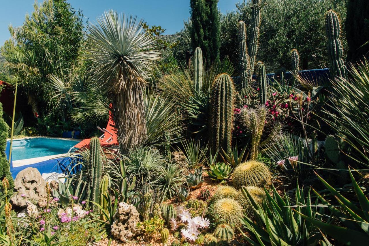 Villa Tropica, Total Privacy, Tropical Garden And Private Pool Kaštela Екстериор снимка