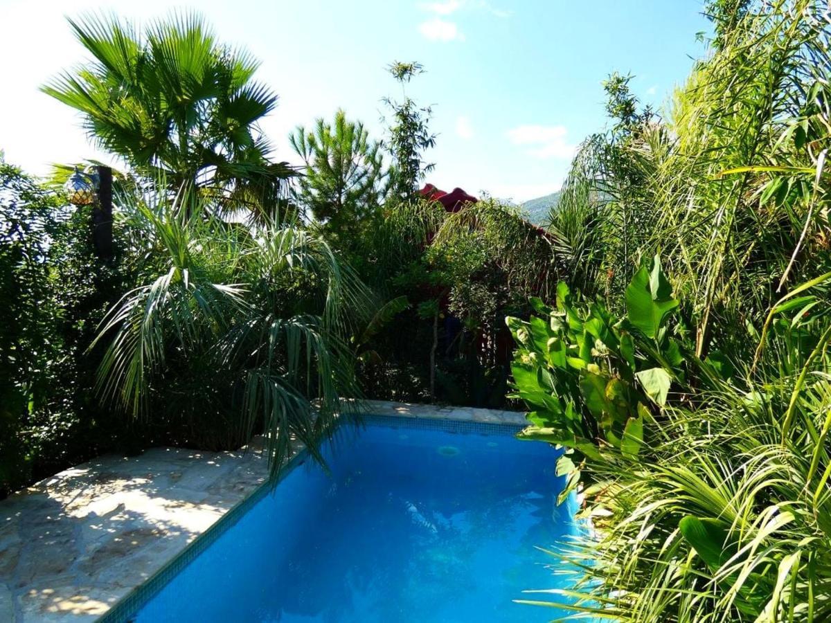 Villa Tropica, Total Privacy, Tropical Garden And Private Pool Kaštela Екстериор снимка