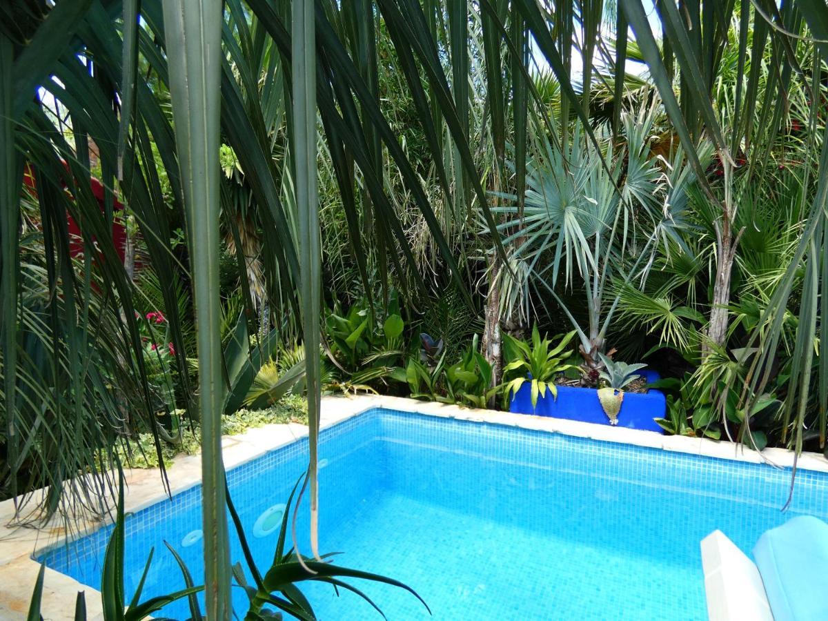 Villa Tropica, Total Privacy, Tropical Garden And Private Pool Kaštela Екстериор снимка