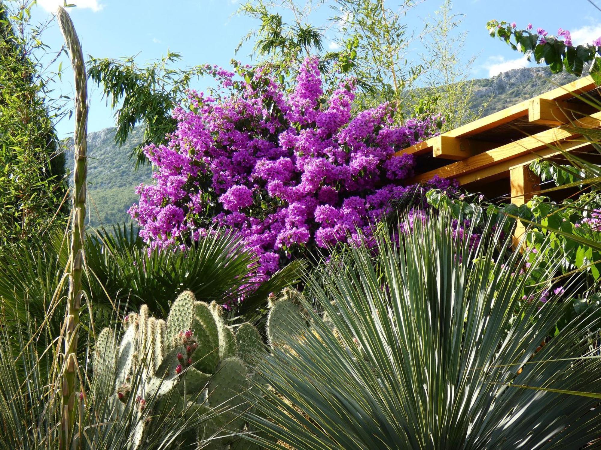 Villa Tropica, Total Privacy, Tropical Garden And Private Pool Kaštela Екстериор снимка